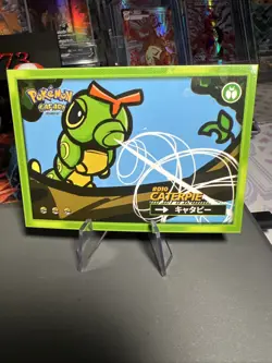 Caterpie #10 - Cracked Ice Holo - Flash Edition Safari 2025 - Pokemon Card - Image 1