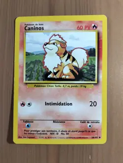Carte Pokemon Caninos 28/102 Set de Base Edition 1 NM-Mint 🇫🇷 - Image 1