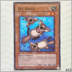 Sea Koala - PTDN-EN037 - Common Unlimited Yugioh - Image 1