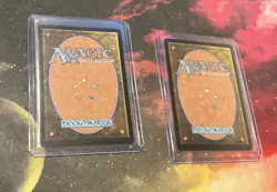 MTG Avatar: The Last Airbender Badgermole Cub (Borderless) Non Foil - Image 2