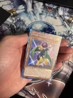 (YCL) Toon Harpie Lady - VLP - TOCH-EN002 - Unlimited - Collector’s Rare - Image 3