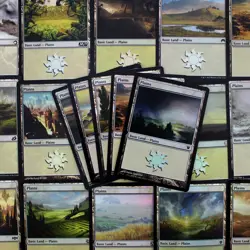 MTG FOIL Basic Plains Lot 100/250/500/1000 You pick! - Magic Collection - NM/PL - Image 1