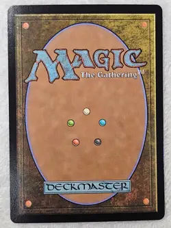 MTG Swamp (0271) FOIL - Bloomburrow (BLB) Magic Gathering Card LAND NM - Image 3