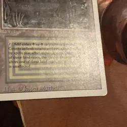 Bayou X1 Mtg Revised Lp - Image 2