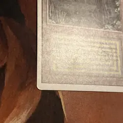 Bayou X1 Mtg Revised Lp - Image 3