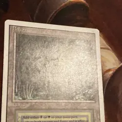 Bayou X1 Mtg Revised Lp - Image 5