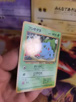 Pokemon Karte Card Vending expansion sheet glossy japanese Bulbasaur Bisasam NM+ - Image 3