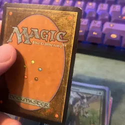 Forced Fruition - Lorwyn - MTG - Portuguese - HP - Image 3