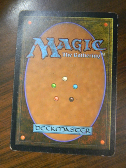 MTG Magic The Gathering Visions Undiscovered Paradise (1996) LP - Excellent - Image 2