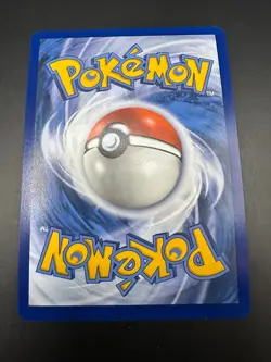 Pokemon Koraidon TCG SVP Black Star Promo, SVP014, Scarlet Violet - Image 2