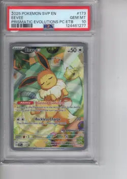 PKMN SkeenAB Eevee 173/Promo Pokemon Center Exclusive from SVP. Graded 10. - Image 1