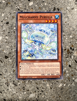 Yugioh TCG Mulcharmy Purulia L5DD-ENY18 1st Edition NM-M Combined Ship - Image 1