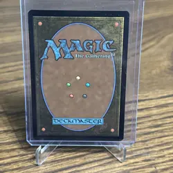 Spider-Punk (0210) (Borderless) #210 (NM) Spider-Man SPM Magic MTG non foil - Image 2