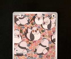 Pokemon Card - Pidove 148/086 Black Bolt English - Illustration Rare - NM ⭐ - Image 2