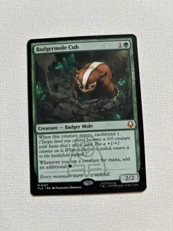 Badgermole Cub and Green Sun’s Zenith - Image 1