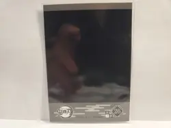 Demon Slayer Instant Photo Style Card Shinobu Kocho 26 - Image 2