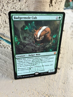Badgermole Cub, Magic: The Gathering Near Mint, Mythic Rare, TLA 167 - Image 5