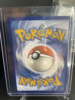Pokemon Eevee TCG SVP173 Black Star Promo Prismatic Evolutions ETB - Image 2