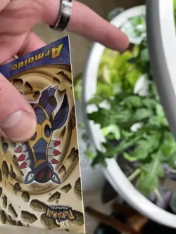 Pokemon Topps CHROME Armaldo #13 Advanced Series Holofoil Prism Rare Card - Image 4