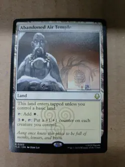 Abandoned Air Temple TLA #263 Non-Foil Standard Art NM MTG - Image 1