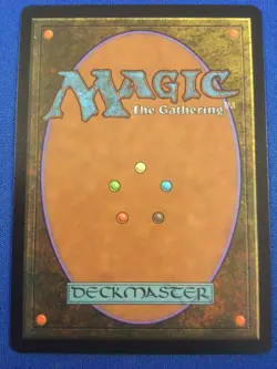 Wakka, Devoted Guardian Final Fantasy MTG chocobo track Borderless FOIL - NM - Image 2