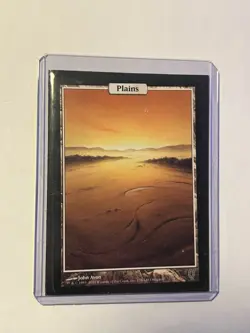 Plains - Full Art Unhinged Regular - Image 1