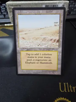 Elephant Graveyard Arabian Nights NM - Image 4