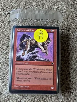 VTG Magic The Gathering MTG 60-card Lot (1996-1997) Portal Visions Tempest - Image 2