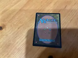 SCROLL RACK Japanese MN to good condition - Image 2