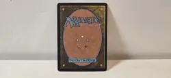 2004 MTG: Auriok Champion English - Fifth Dawn (5DN) - See Pictures - Mint - Image 2
