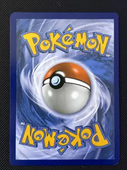 POKEMON - Eevee GX SM242 Black Star Promo - Holo NM - Image 3