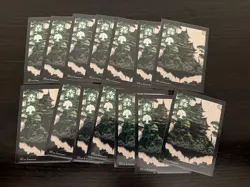 Mtg Custom Commander Deck - Shigeki, Jukai Visionary - Deck Box And Sleeves - Image 3