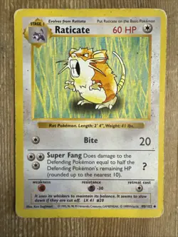 Raticate Shadowless Base Set Uncommon 40/102 Pokemon Card 1999 WotC HP/DMG - Image 1
