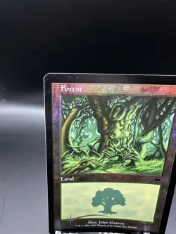 ​Forest - Onslaught - Lightly Played Foil EN MTG​ - Image 2