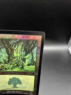 ​Forest - Onslaught - Lightly Played Foil EN MTG​ - Image 3