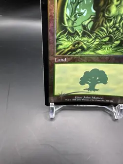 ​Forest - Onslaught - Lightly Played Foil EN MTG​ - Image 4