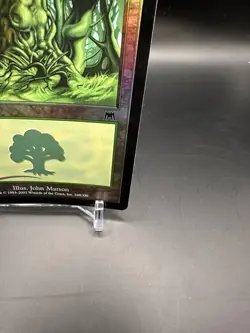 ​Forest - Onslaught - Lightly Played Foil EN MTG​ - Image 5
