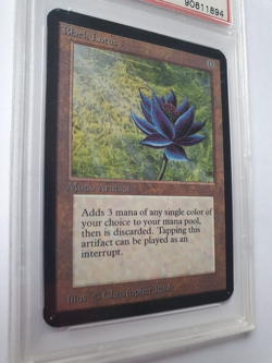 MTG BLACK LOTUS ALPHA NM-MT 8 PSA NEVER PLAYED MINT CONDITION GRADED VERY RARE - Image 3