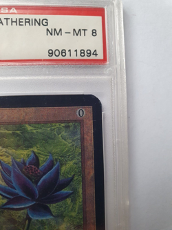 MTG BLACK LOTUS ALPHA NM-MT 8 PSA NEVER PLAYED MINT CONDITION GRADED VERY RARE - Image 5