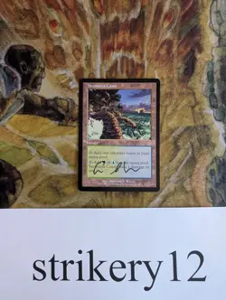 Yavimaya Coast - Apocalypse - Signed by Anthony S. Waters - MTG - Image 1