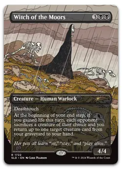 Witch of the Moors #1722 (NM) Secret Lair Drop SLD Magic MTG - Image 1