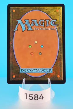 MTG Forest (0291) Tarkir: Dragonstorm Regular - Image 2