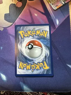 Mega Venusaur Ex Holo Mega Evolution Black Star Promo 013 Pokemon TCG - Image 3