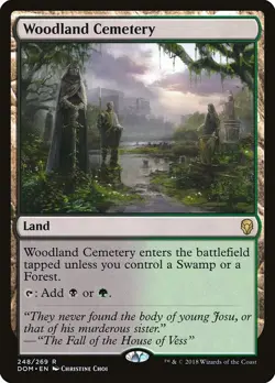 Woodland Cemetery - Dominaria | MTG Card - Image 1