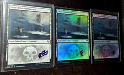 2x Snow-Covered Swamp x2 Kaldheim Foil #280 + 1 Reg MTG + *BONUS* + Fast Ship! - Image 1