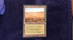 SAVANNAH dual land 1994 Revised FBB German MTG Unplayed NM - Image 2