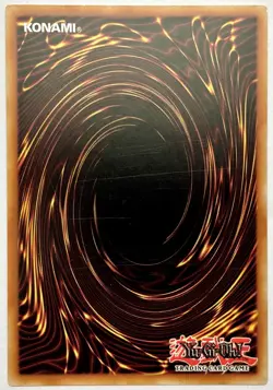 SHVA-EN013 Yellow Dragon Ninja - Secret Rare 1st Edition Lightly Played YuGiOh - Image 2