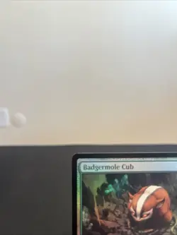 MTG: Badgermole Cub Foil TLA 0167 | Avatar: The Last Airbender - Image 3