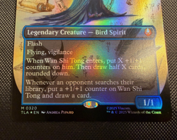 MTG Wan Shi Tong Librarian Borderless Foil M 0320 Avatar The Last Airbender NM - Image 2