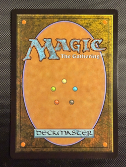 MTG Wan Shi Tong Librarian Borderless Foil M 0320 Avatar The Last Airbender NM - Image 3
